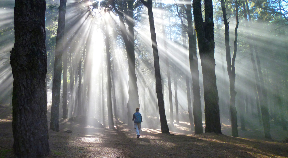 Danilo Zanin, marcher…